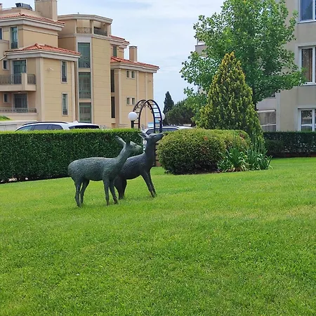 Apartmán Sunny Černomorec