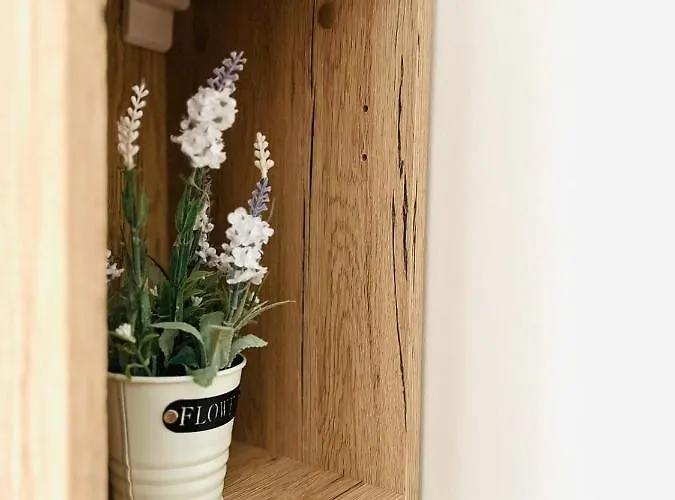 Sunny Διαμέρισμα *