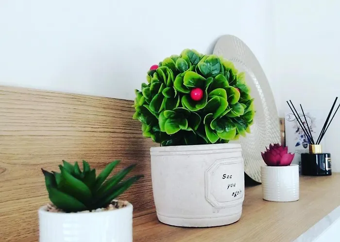 Διαμέρισμα Sunny