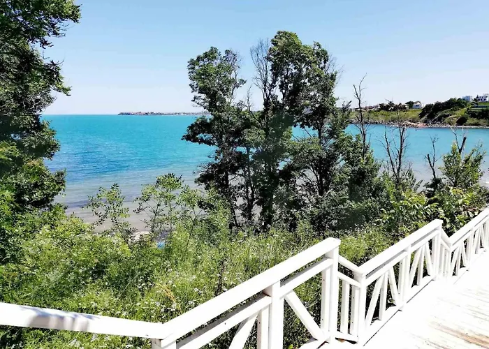 Sunny * Τσερνομόρετς