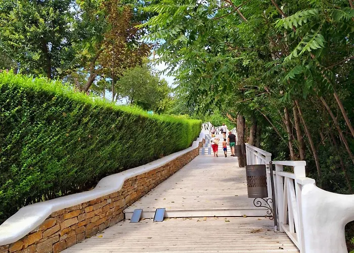 Sunny * Τσερνομόρετς