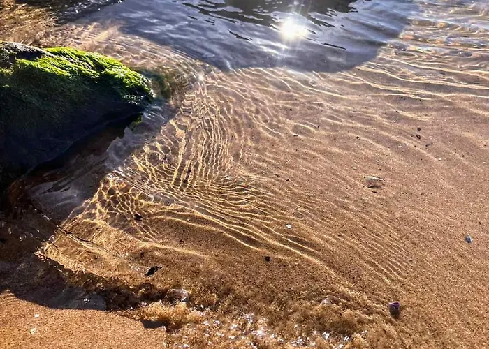 Διαμέρισμα Sunny